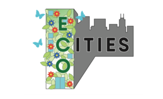EcoCities – la biodiversité sur les toits végétalisés en Région flamande