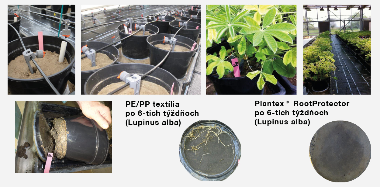 Plantex-RootProtector-test-proti-prerastaniu-korenov