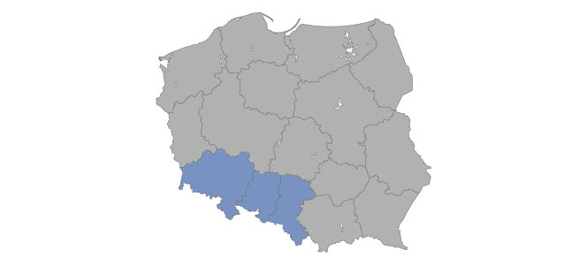 Mirosław Bąk
