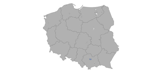 Sławomir Rożek
