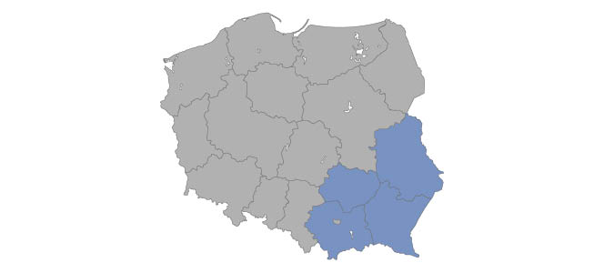 Przemysław Ślizowski